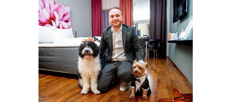 Sjekker inn på hotell for at hundene skal få slippe fyrverkeri