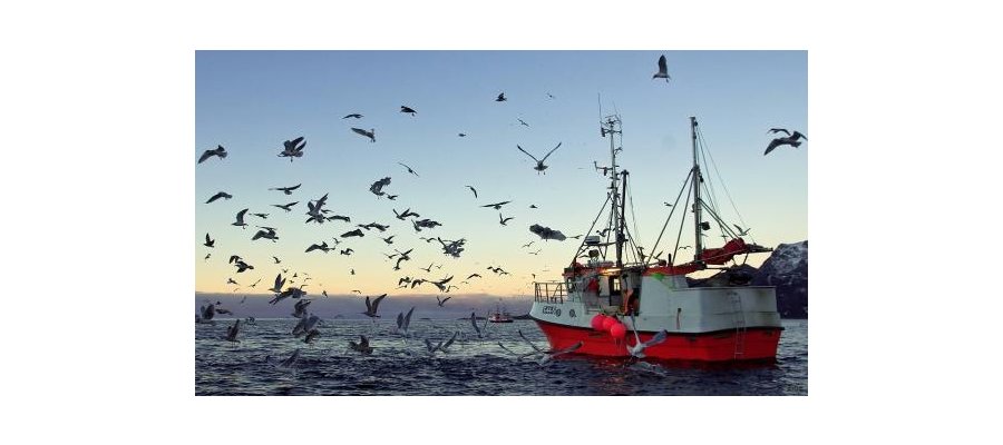 Folkets kveld: Ka vil vi med havet langs kysten vår?