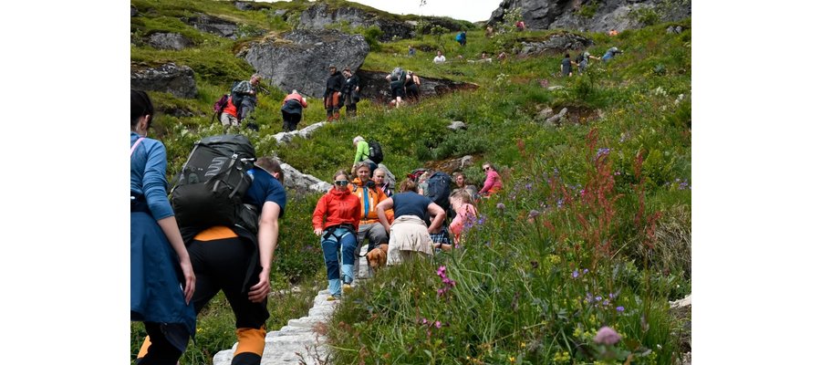 Lei av uregulert masseturisme i Lofoten: – Vi holder på å kveles