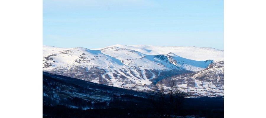 Wenaas selger Oppdal til Buchardt: – Har hatt lyst på dette lenge