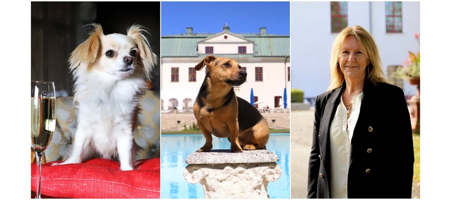 Hundlyx på Häringe Slott