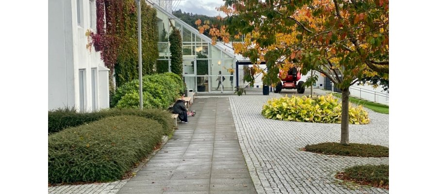 KRONIKK: Reiselivet skal vokse – med Universitetet i Stavanger på laget