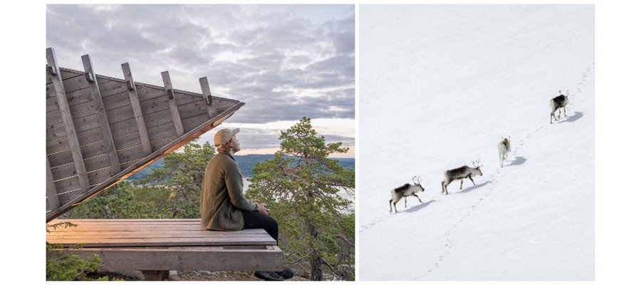 Fem trender 2025 enligt Visit Sweden