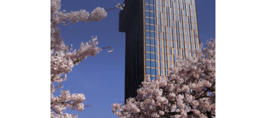 Hotel Market Update Jun/26