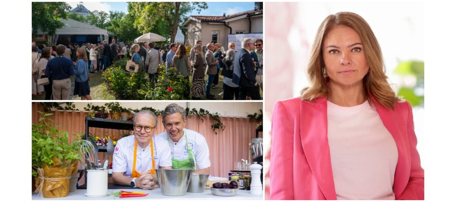 Visita tar plats i Almedalen