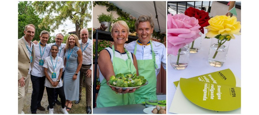 Stark vecka i Almedalen för Visita