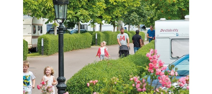Europeiska turister söker svalare somrar – kraftig ökning av internationella gäster på svenska campingplatser