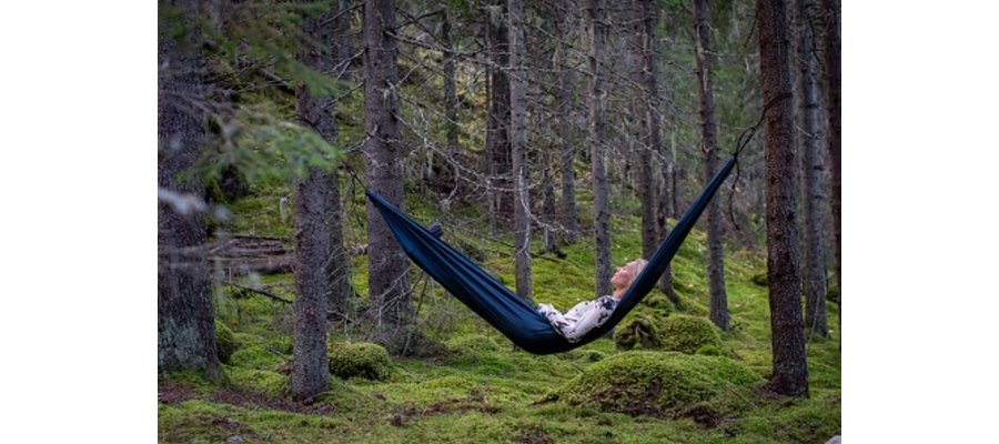 Järvsö lanserar unikt Skogsbadsrum – en plats för återhämtning