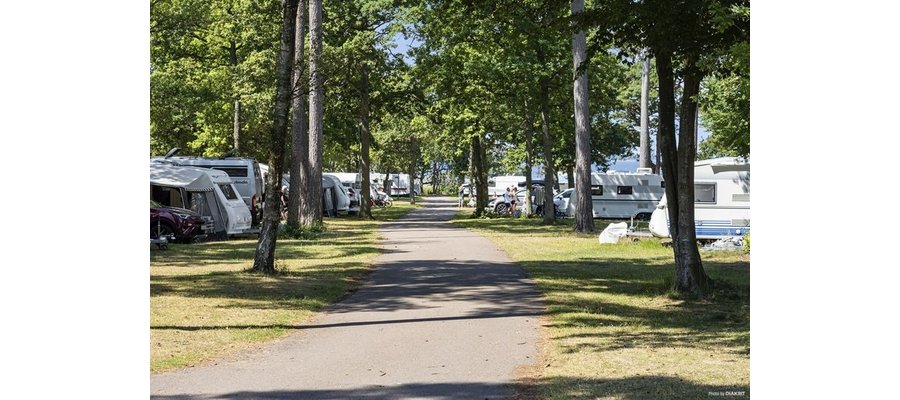 Rekordsommar för svensk camping