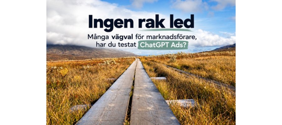 Marcus Ståhl: ChatGPT har fått annonser – fem lärdomar för besöksnäringen