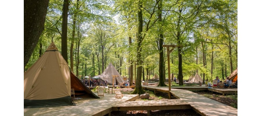 Rekordår: Fler än 10 000 gästnätter i parken