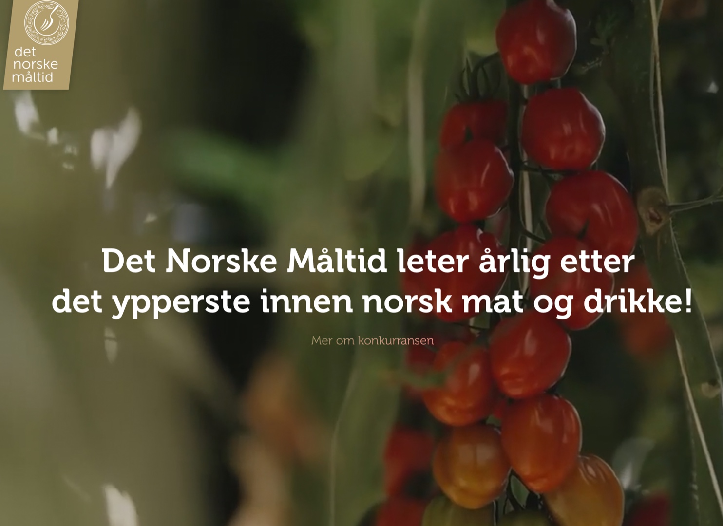Finalen i Det Norske Måltid