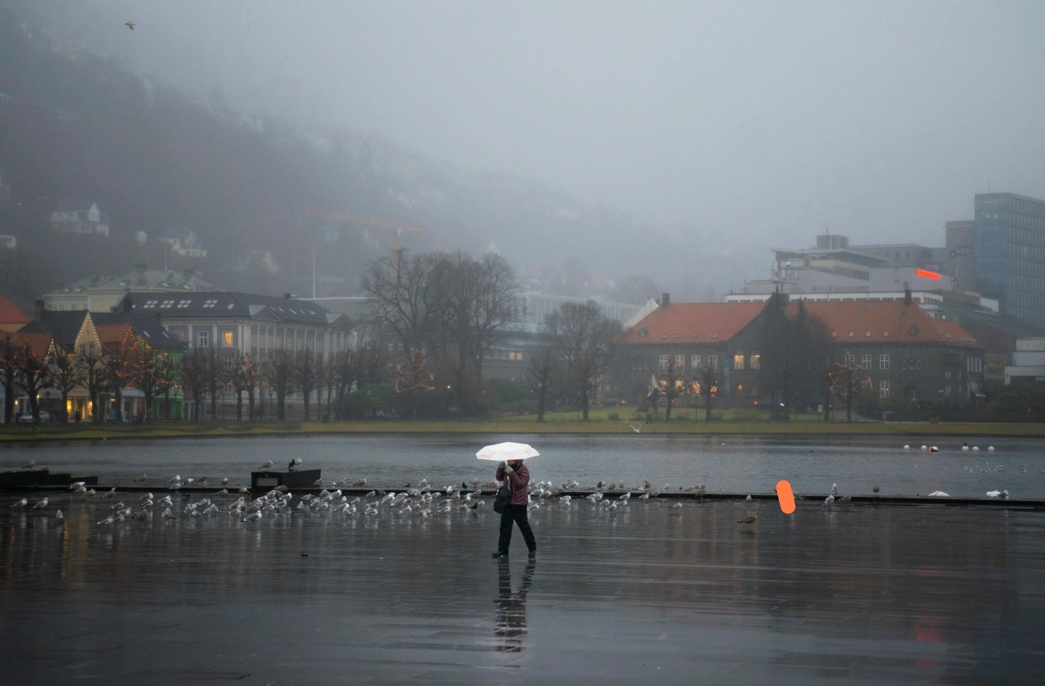 Venter flere klimaturister: Kommer til Norge for å kjøle seg ned