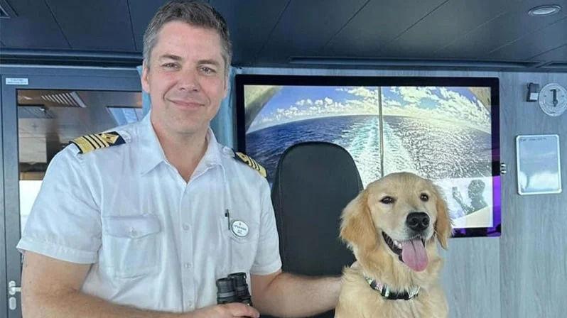 Rover (5 mnd) er Chief Dog Officer på verdens største cruiseskip