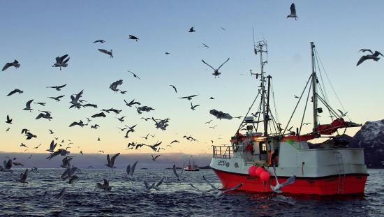 Folkets kveld: Ka vil vi med havet langs kysten vår?