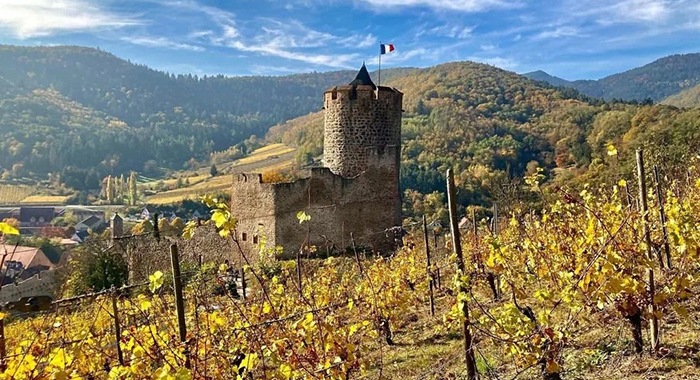 Alsace Fan Day