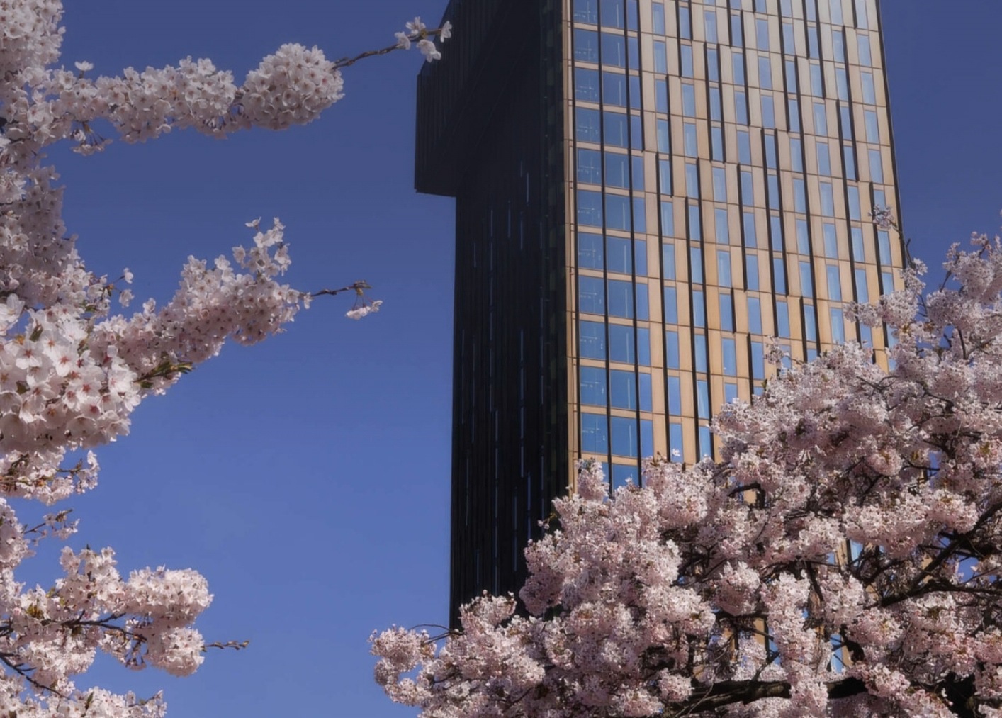 Hotel Market Update Jun/26