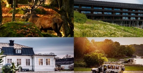 Eriksberg Hotel & Nature Reserve söker ny VD