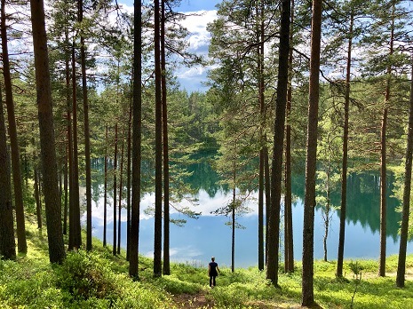 Visit Sweden – juli 2026 alla tiders rekordmånad för turism i Sverige