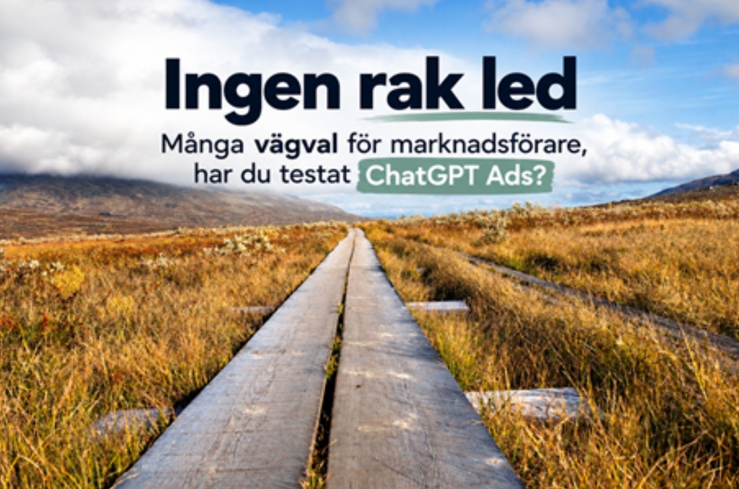 Marcus Ståhl: ChatGPT har fått annonser – fem lärdomar för besöksnäringen